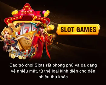 Trò chơi slot độc quyền 66win slot